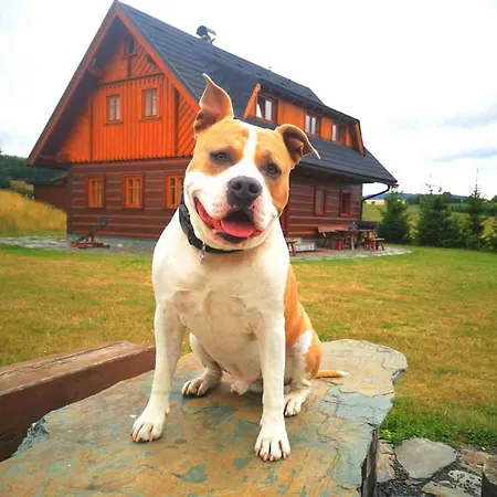 In 1736 Feriehus Jilove u Drzkova