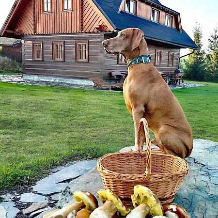 In 1736 Dom wakacyjny *